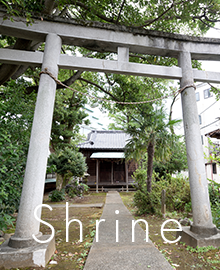 伊東厳島神社に隣接
